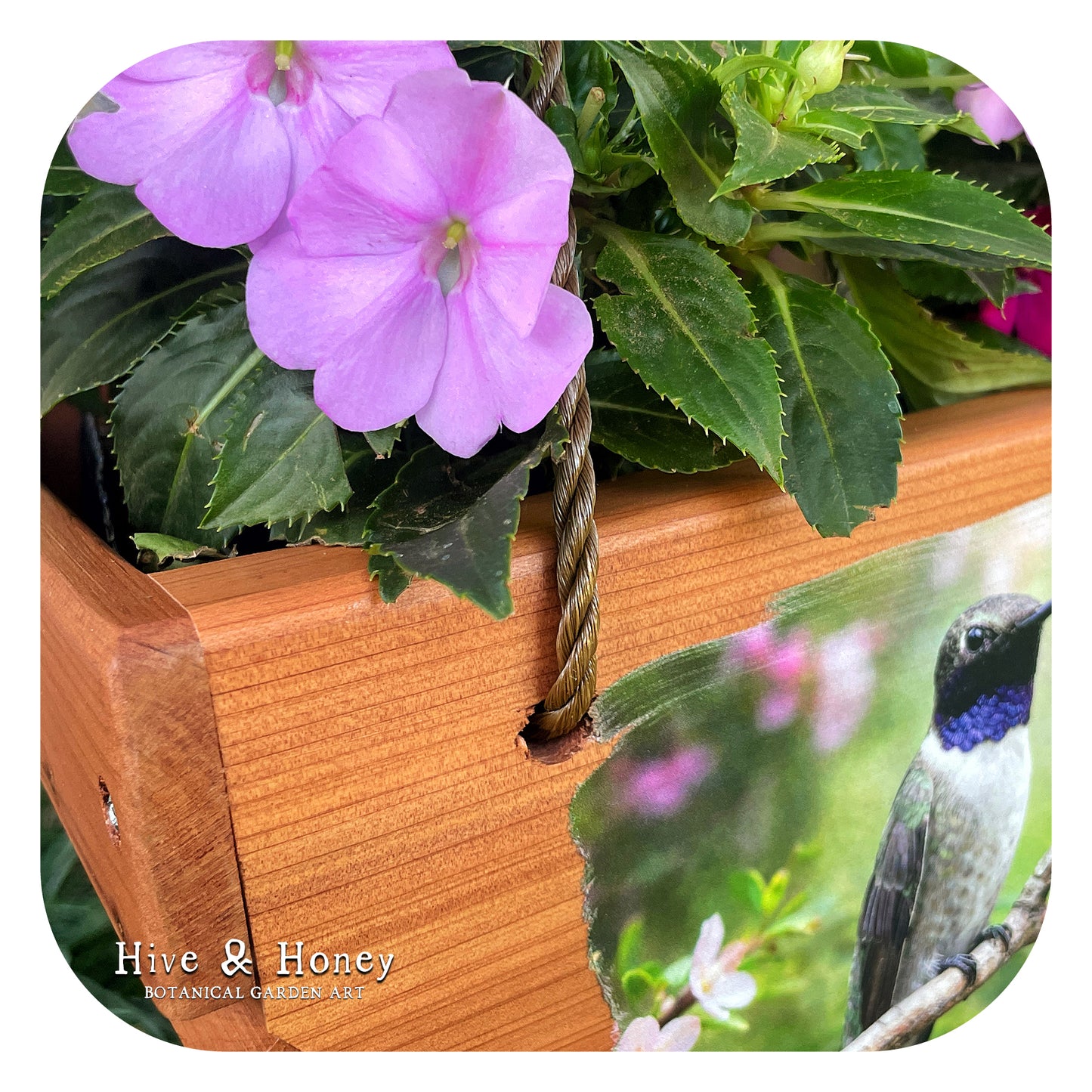 Hummingbird Hanging Cedar Planter