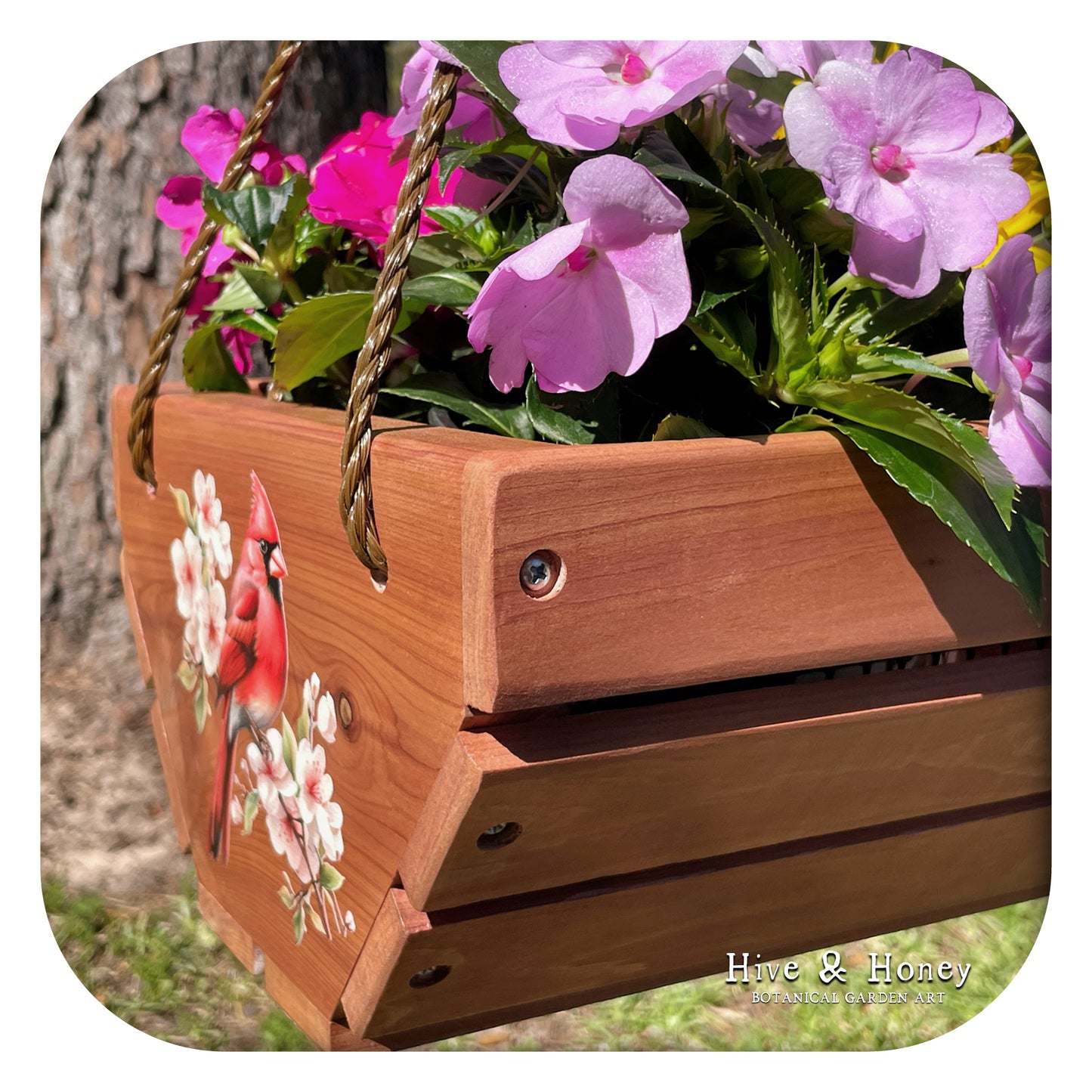 Cardinal Hanging Cedar Planter