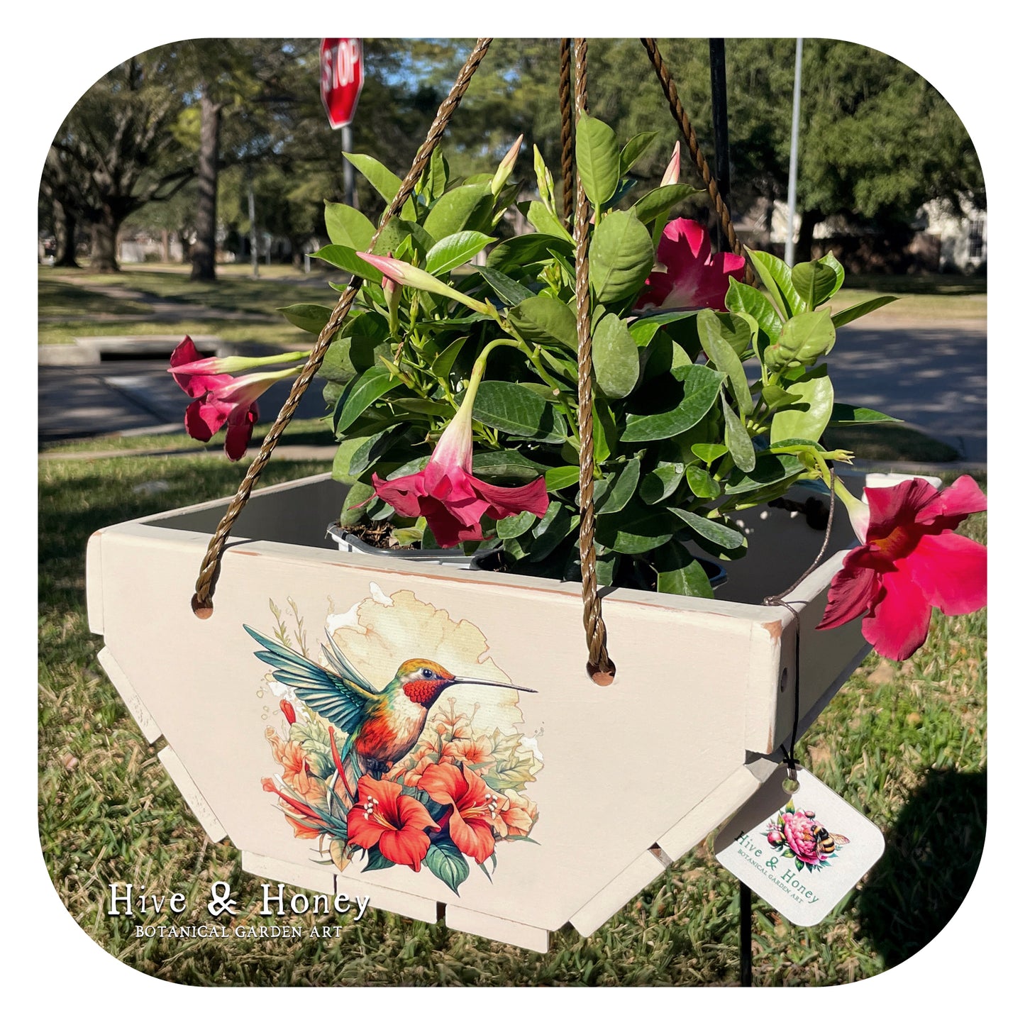 Hummingbird Painted Hanging Cedar Planter