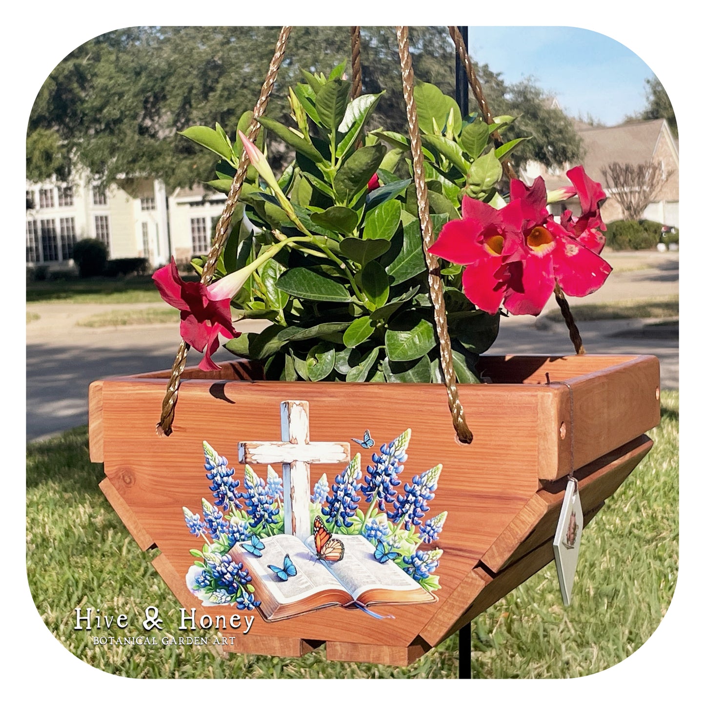 Bible, Bluebonnets, and Butterflies Hanging Cedar Planter