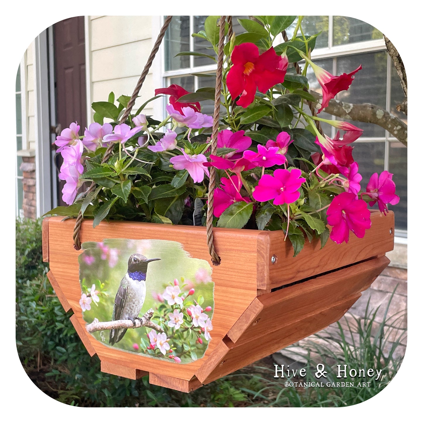 Hummingbird Hanging Cedar Planter