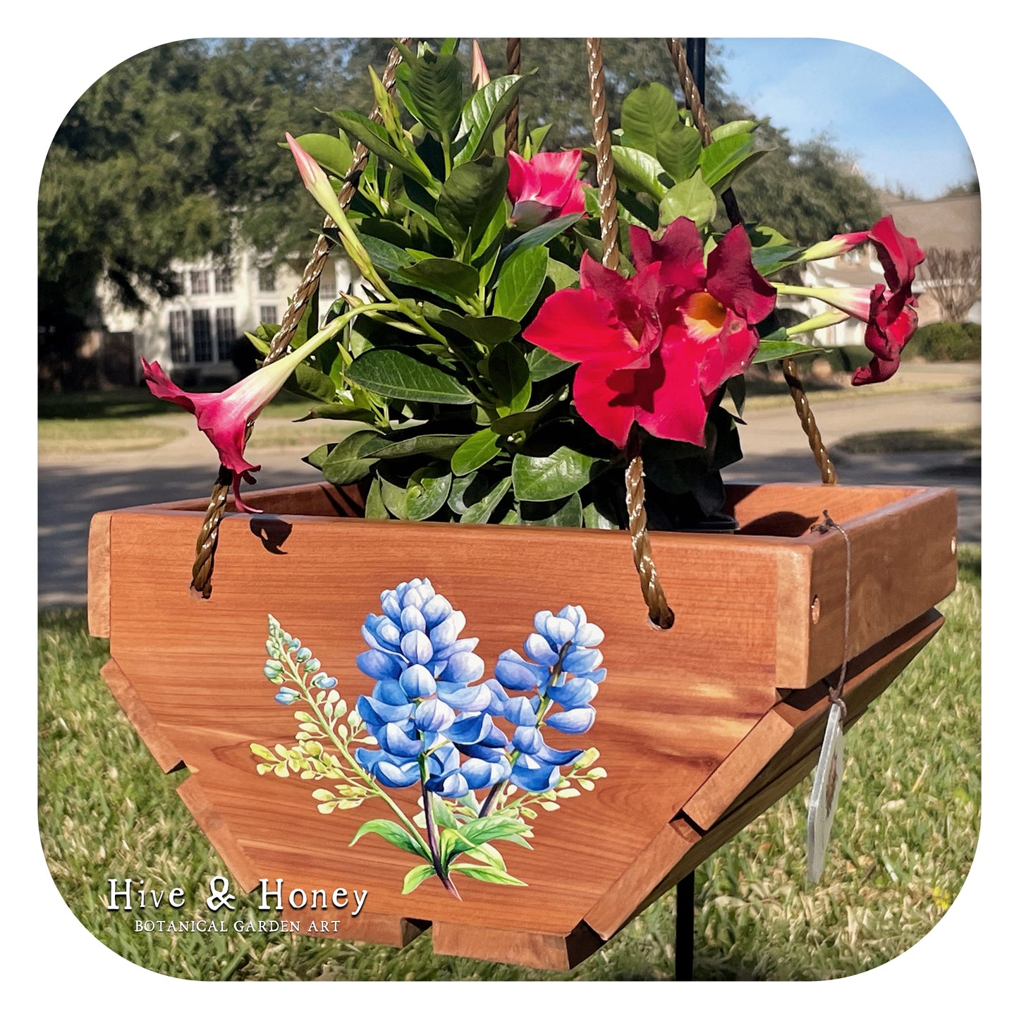 Bluebonnet Hanging Cedar Planter