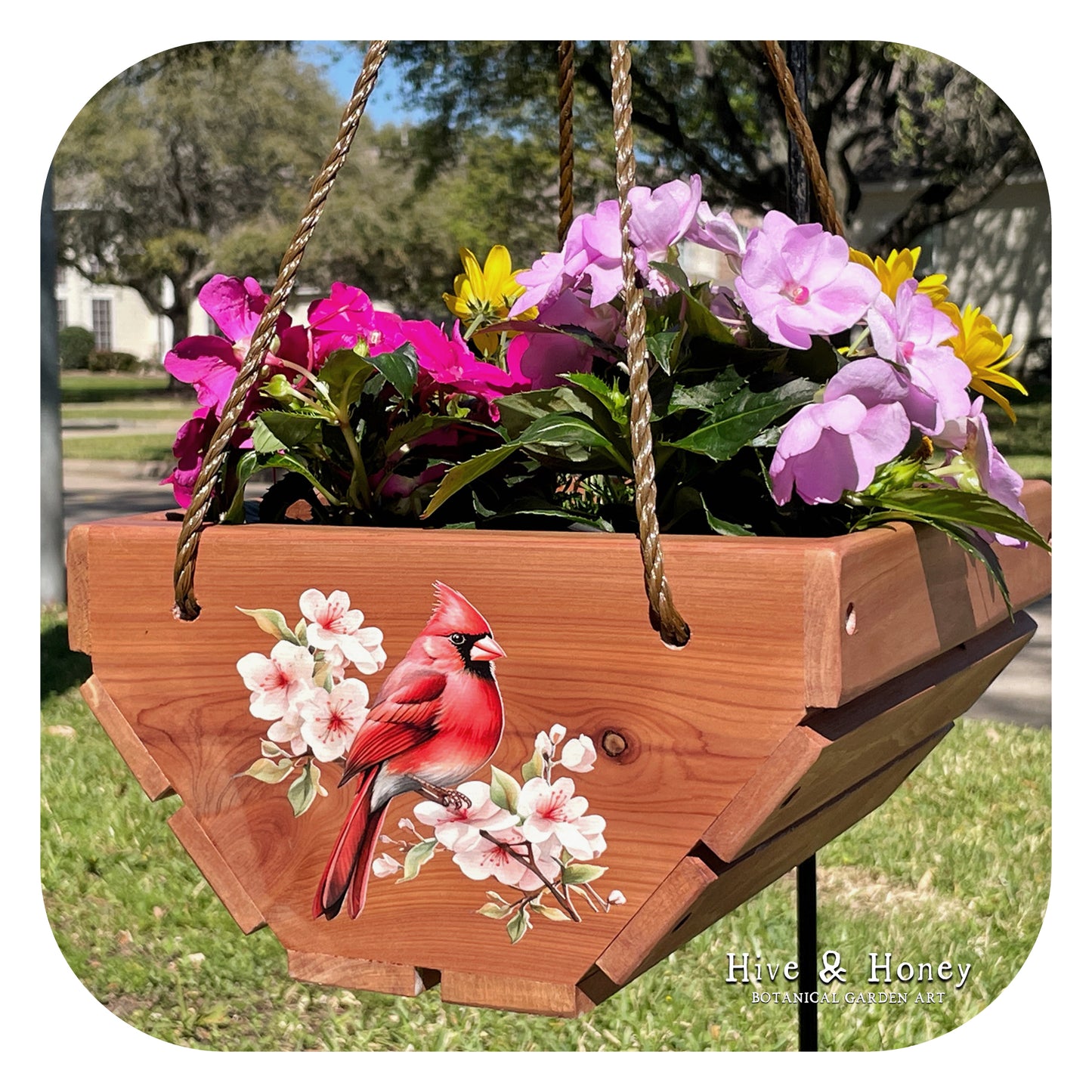 Cardinal Hanging Cedar Planter
