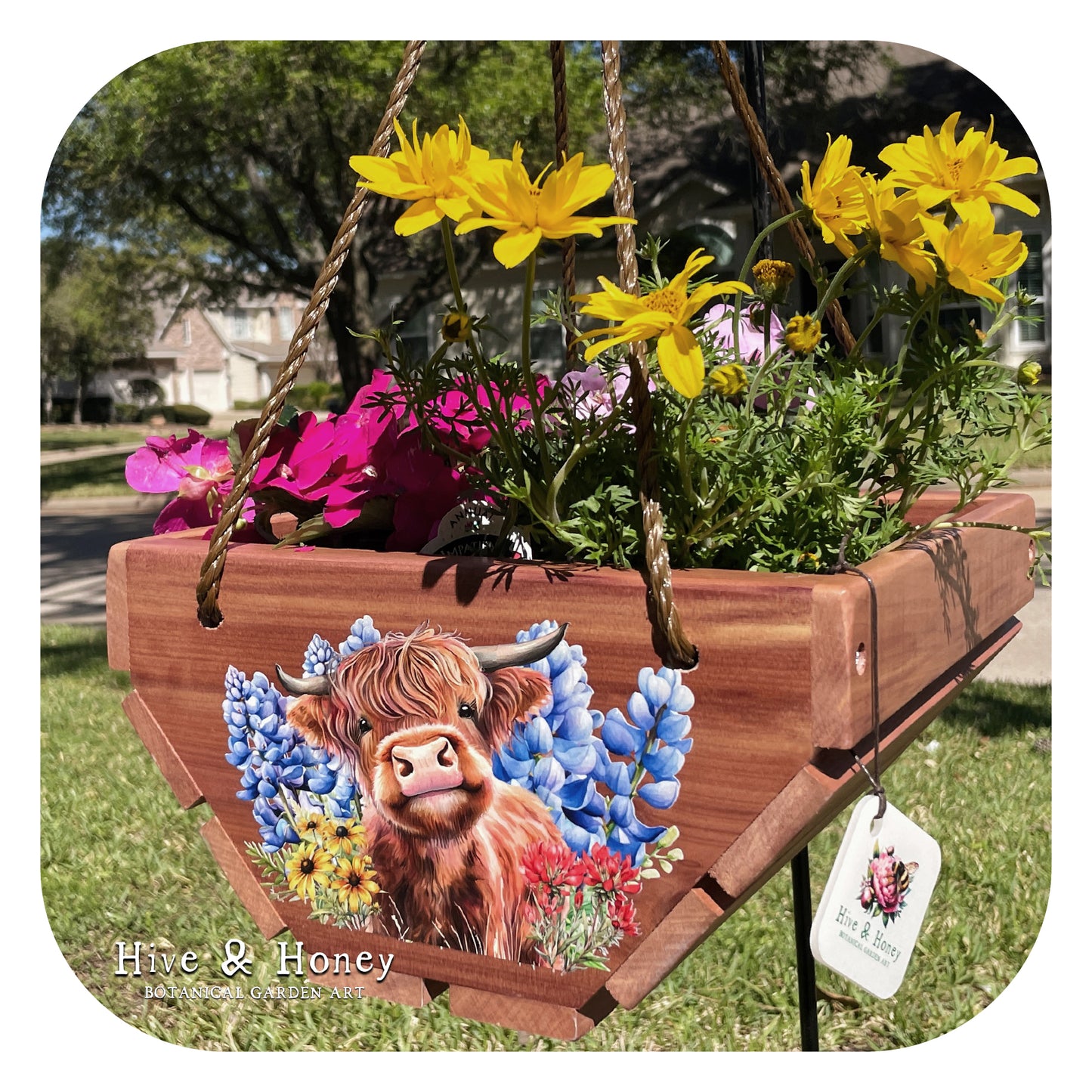 Highland Cows Hanging Cedar Planter
