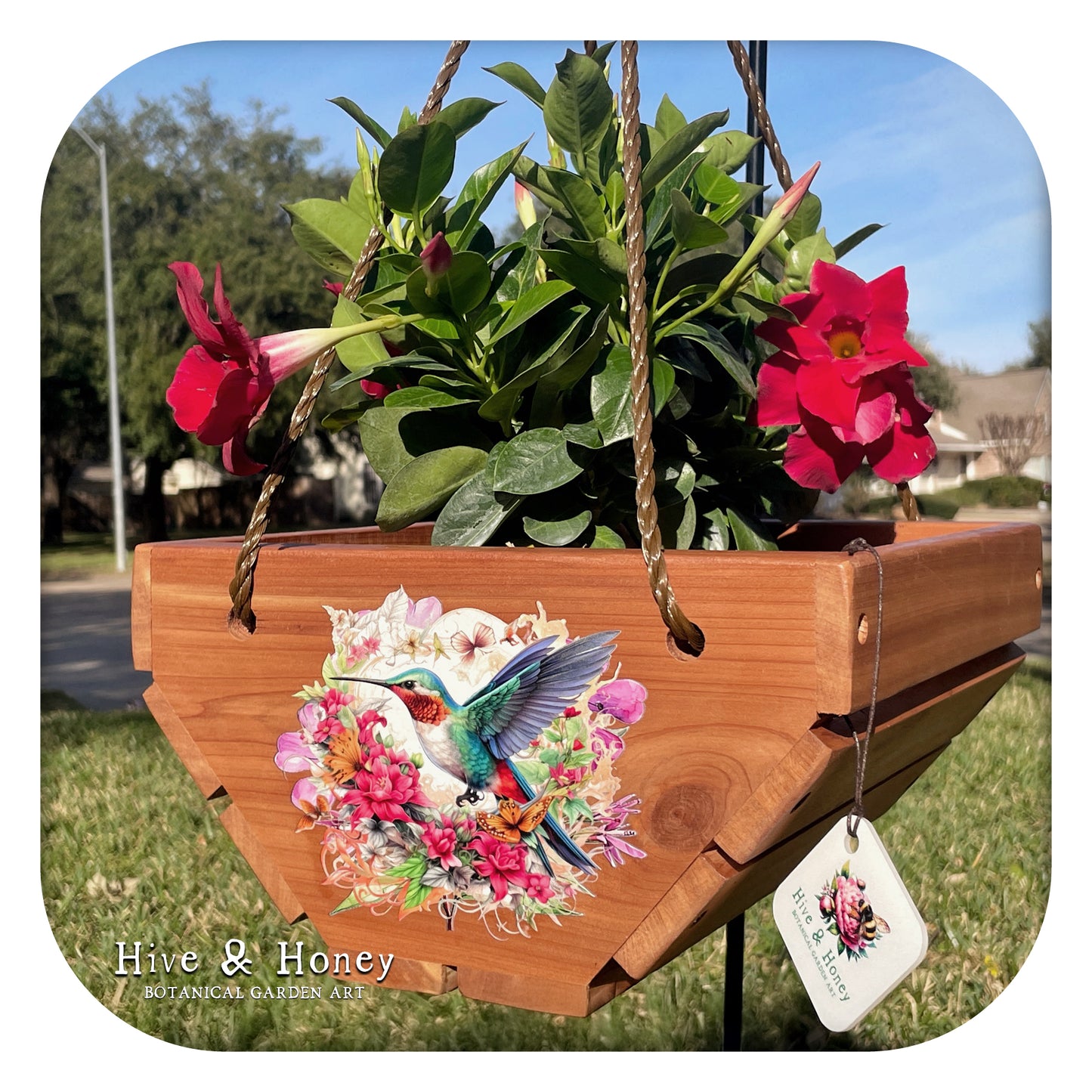 Hummingbird Hanging Cedar Planter