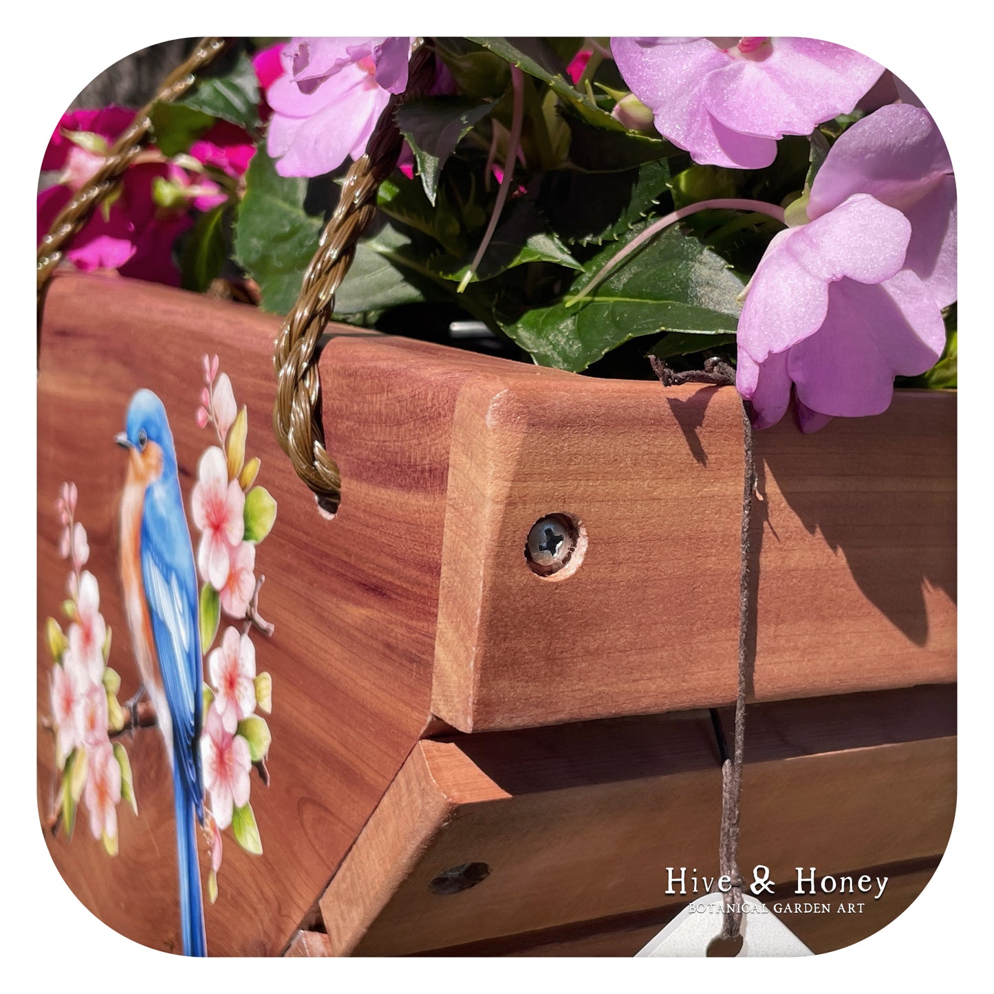 Bluebird Hanging Cedar Planter