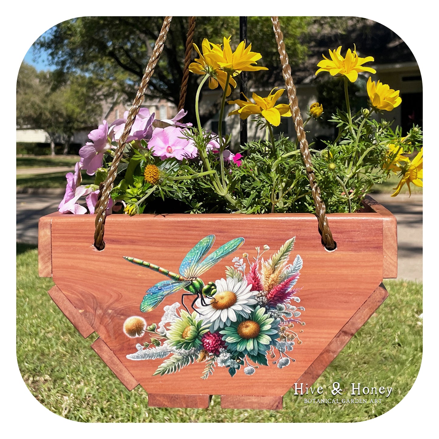 Dragonfly Hanging Cedar Planter