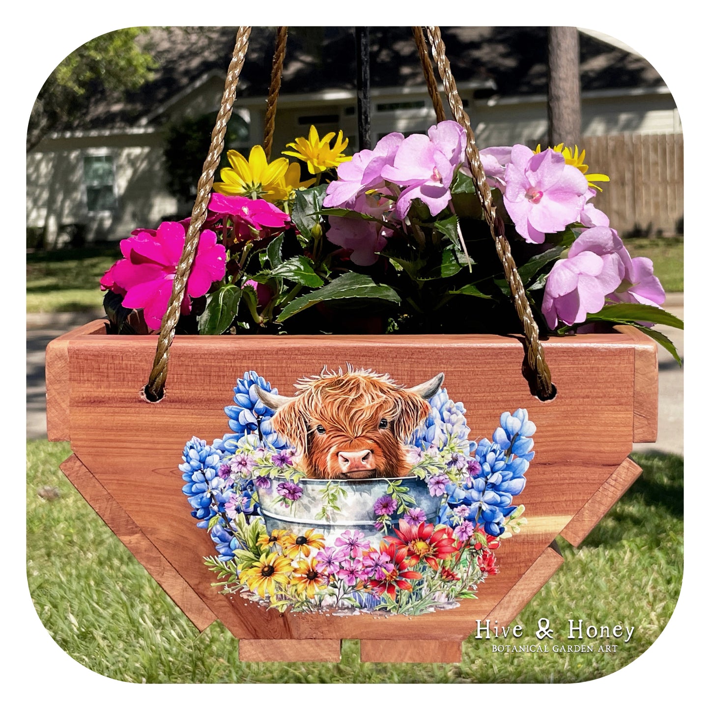 Highland Cows Hanging Cedar Planter