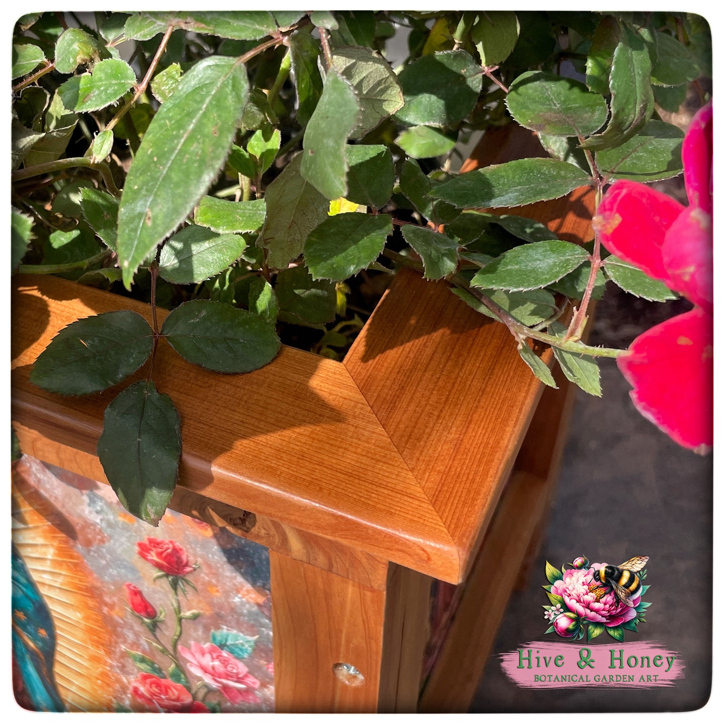 Lady of Guadalupe Rose Cedar Planter 15"x 15"